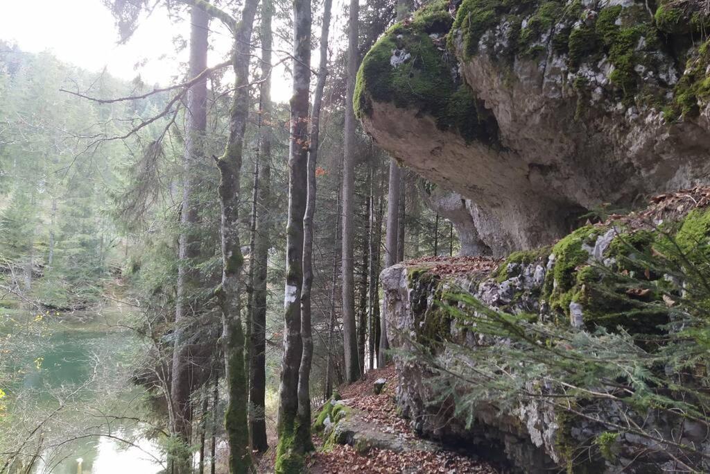 Gite Du Fourperet-Parc Naturel Du Haut-Jura Longevilles-Mont-dʼOr Eksteriør bilde